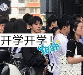 开学爆料的视频大全集最新,校园风云录